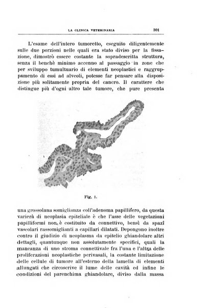 La clinica veterinaria rivista di medicina e chirurgia pratica degli animali domestici