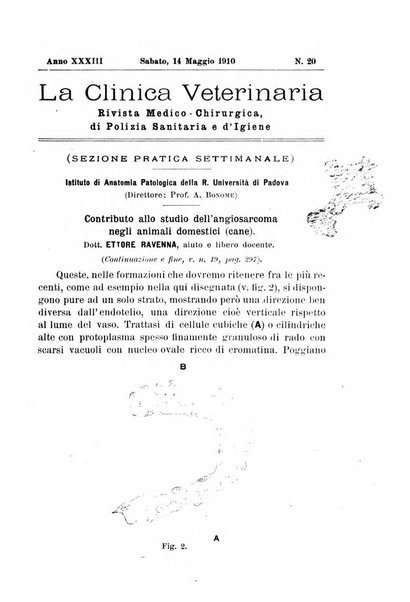 La clinica veterinaria rivista di medicina e chirurgia pratica degli animali domestici