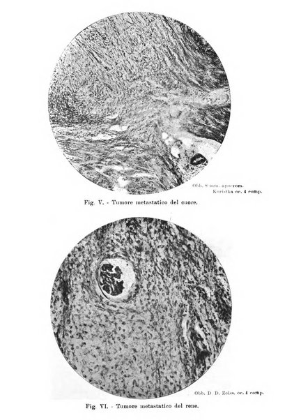 La clinica veterinaria rivista di medicina e chirurgia pratica degli animali domestici