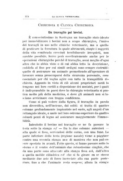 La clinica veterinaria rivista di medicina e chirurgia pratica degli animali domestici