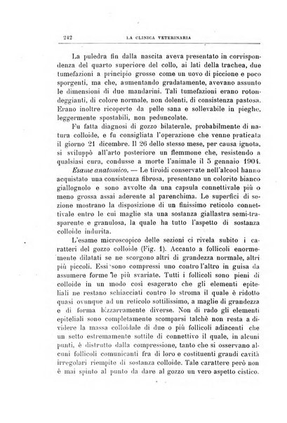 La clinica veterinaria rivista di medicina e chirurgia pratica degli animali domestici