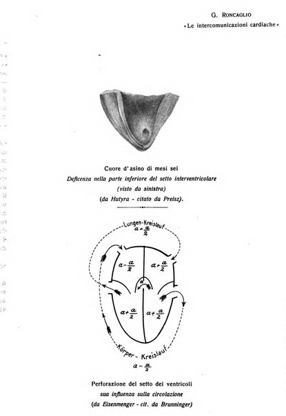 La clinica veterinaria rivista di medicina e chirurgia pratica degli animali domestici