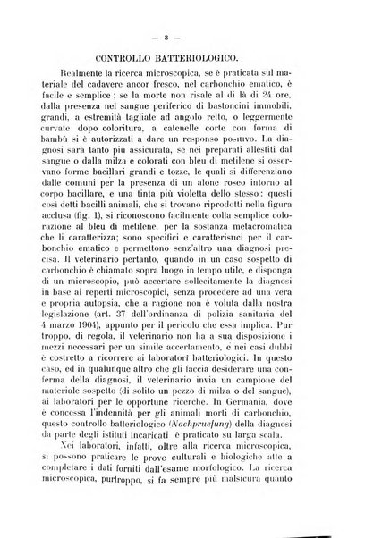 La clinica veterinaria rivista di medicina e chirurgia pratica degli animali domestici