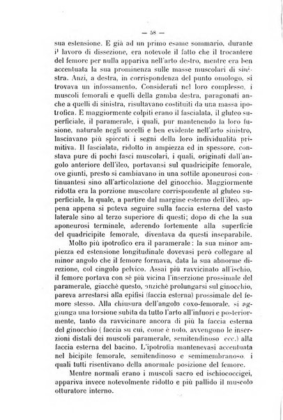 La clinica veterinaria rivista di medicina e chirurgia pratica degli animali domestici