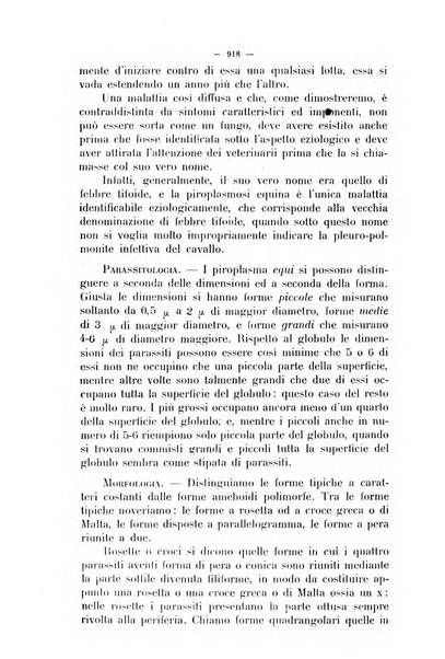 La clinica veterinaria rivista di medicina e chirurgia pratica degli animali domestici