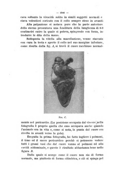 La clinica veterinaria rivista di medicina e chirurgia pratica degli animali domestici