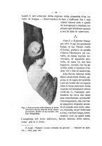 giornale/MIL0124118/1912/unico/00000094