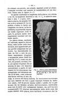giornale/MIL0124118/1912/unico/00000165
