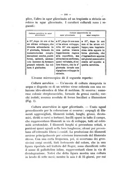 La clinica veterinaria rivista di medicina e chirurgia pratica degli animali domestici