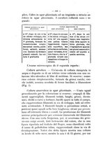 giornale/MIL0124118/1912/unico/00000248