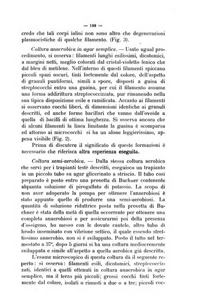 La clinica veterinaria rivista di medicina e chirurgia pratica degli animali domestici