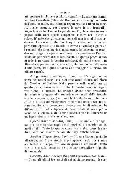 La clinica veterinaria rivista di medicina e chirurgia pratica degli animali domestici