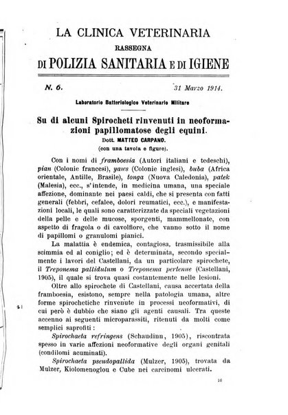 La clinica veterinaria rivista di medicina e chirurgia pratica degli animali domestici