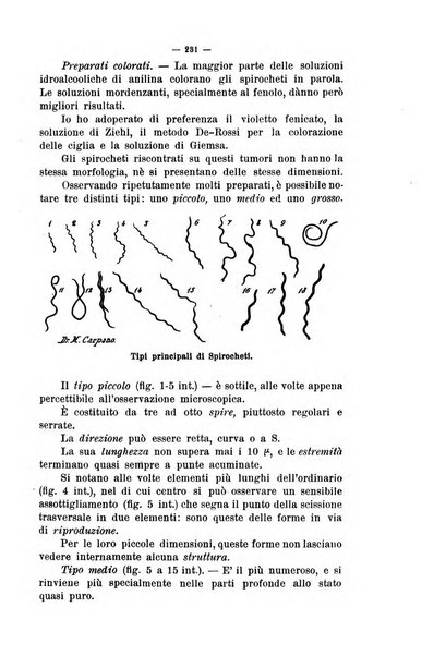 La clinica veterinaria rivista di medicina e chirurgia pratica degli animali domestici