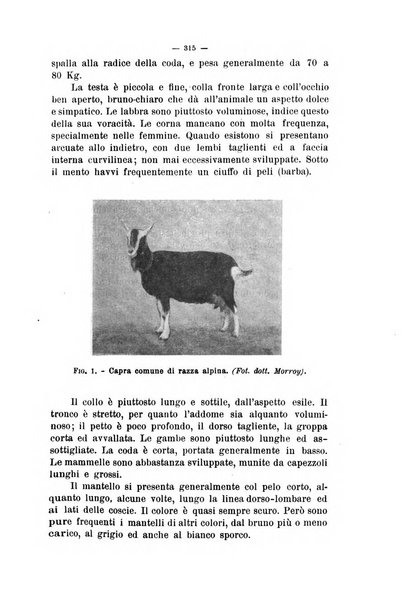 La clinica veterinaria rivista di medicina e chirurgia pratica degli animali domestici