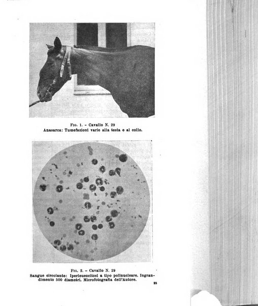 La clinica veterinaria rivista di medicina e chirurgia pratica degli animali domestici