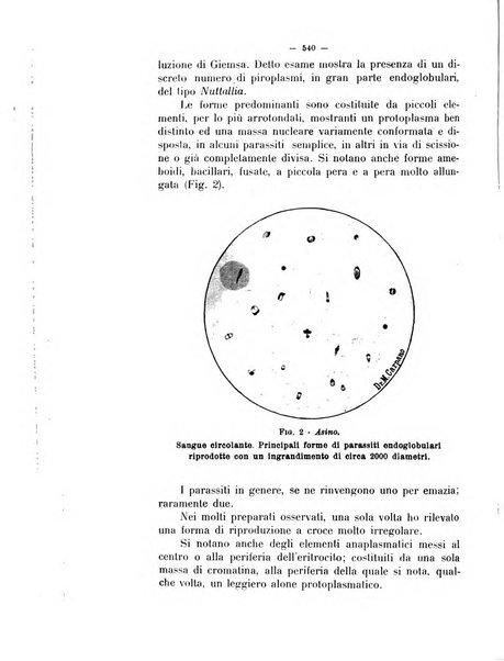 La clinica veterinaria rivista di medicina e chirurgia pratica degli animali domestici