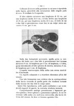 giornale/MIL0124118/1914/unico/00000636