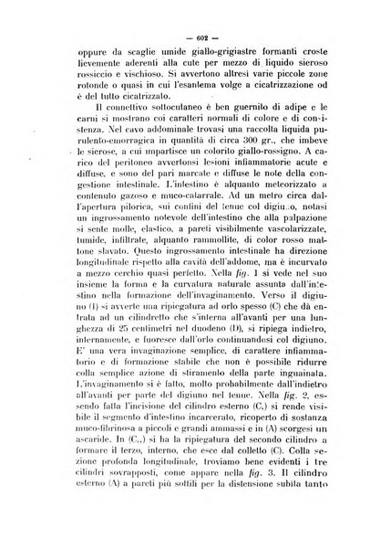 La clinica veterinaria rivista di medicina e chirurgia pratica degli animali domestici