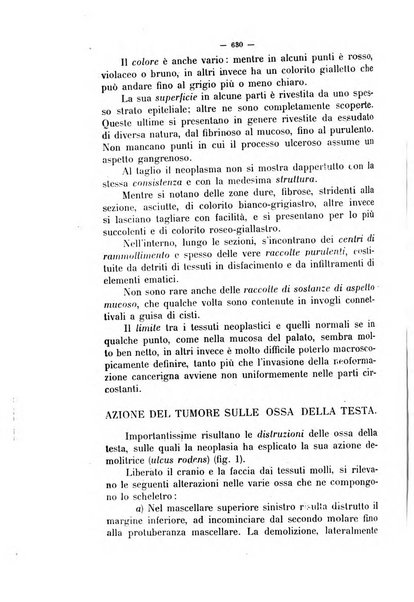 La clinica veterinaria rivista di medicina e chirurgia pratica degli animali domestici