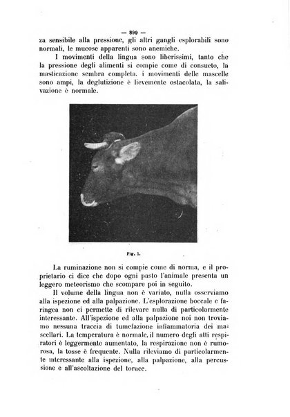 La clinica veterinaria rivista di medicina e chirurgia pratica degli animali domestici