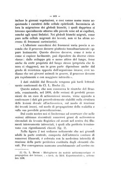 La clinica veterinaria rivista di medicina e chirurgia pratica degli animali domestici