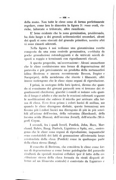 La clinica veterinaria rivista di medicina e chirurgia pratica degli animali domestici