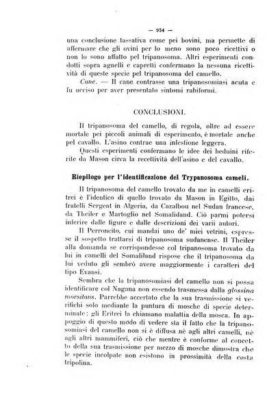 La clinica veterinaria rivista di medicina e chirurgia pratica degli animali domestici