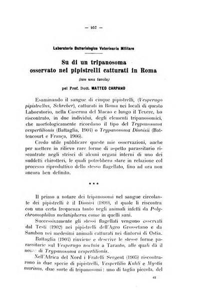 La clinica veterinaria rivista di medicina e chirurgia pratica degli animali domestici