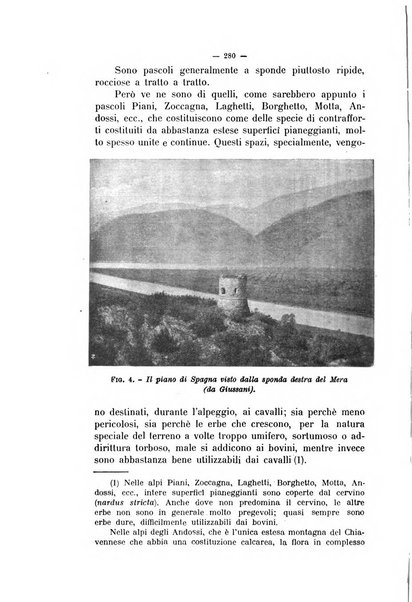 La clinica veterinaria rivista di medicina e chirurgia pratica degli animali domestici