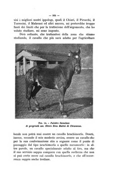 La clinica veterinaria rivista di medicina e chirurgia pratica degli animali domestici