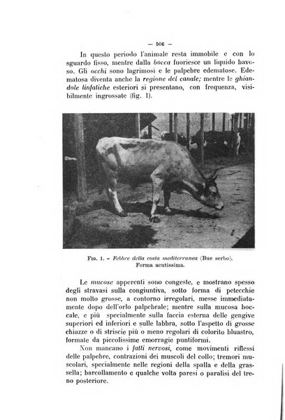 La clinica veterinaria rivista di medicina e chirurgia pratica degli animali domestici