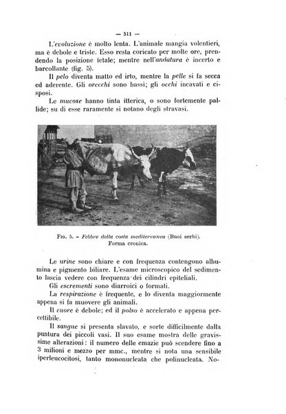 La clinica veterinaria rivista di medicina e chirurgia pratica degli animali domestici