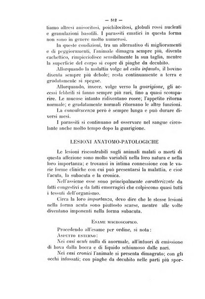 La clinica veterinaria rivista di medicina e chirurgia pratica degli animali domestici