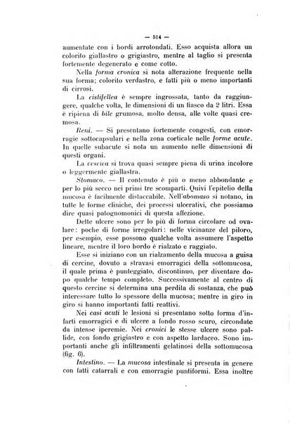 La clinica veterinaria rivista di medicina e chirurgia pratica degli animali domestici