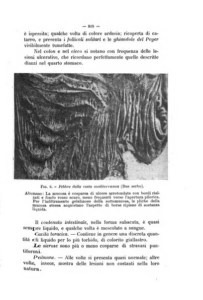 La clinica veterinaria rivista di medicina e chirurgia pratica degli animali domestici