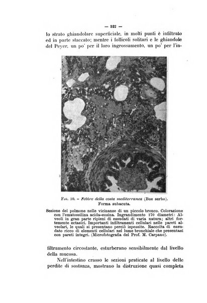 La clinica veterinaria rivista di medicina e chirurgia pratica degli animali domestici