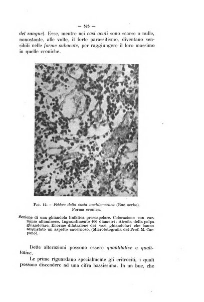 La clinica veterinaria rivista di medicina e chirurgia pratica degli animali domestici