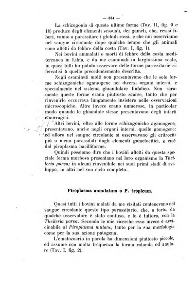 La clinica veterinaria rivista di medicina e chirurgia pratica degli animali domestici