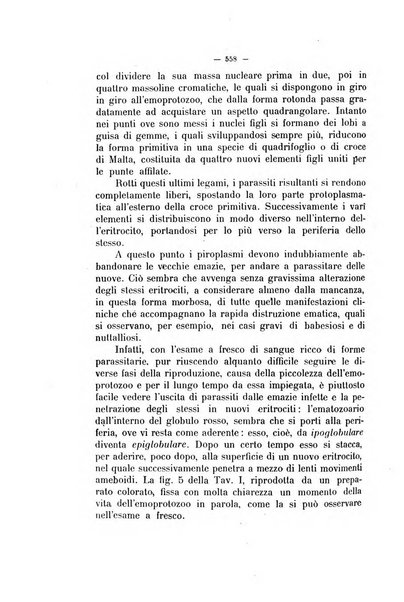 La clinica veterinaria rivista di medicina e chirurgia pratica degli animali domestici