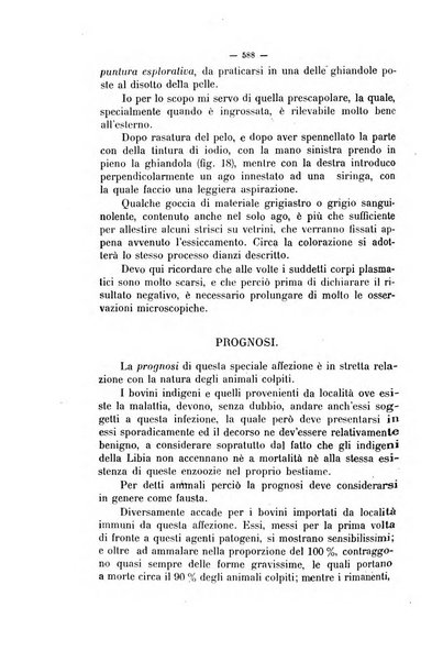 La clinica veterinaria rivista di medicina e chirurgia pratica degli animali domestici