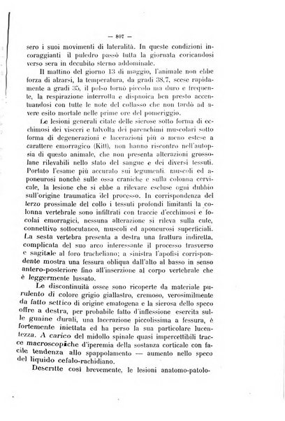 La clinica veterinaria rivista di medicina e chirurgia pratica degli animali domestici