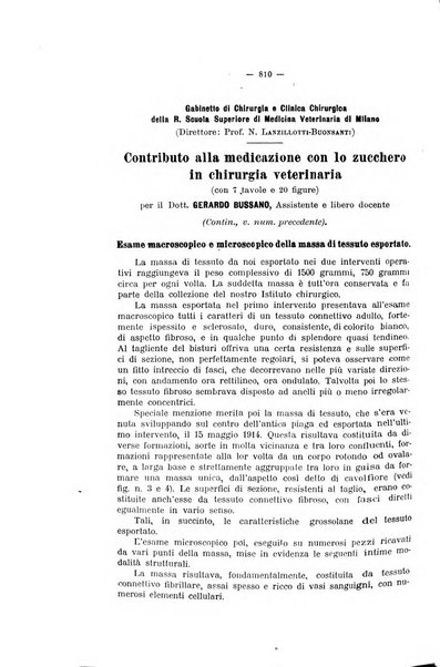 La clinica veterinaria rivista di medicina e chirurgia pratica degli animali domestici