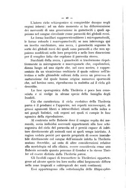 La clinica veterinaria rivista di medicina e chirurgia pratica degli animali domestici