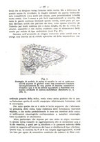 giornale/MIL0124118/1916/unico/00000131