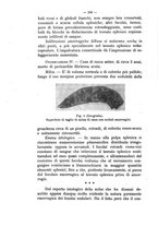 giornale/MIL0124118/1916/unico/00000244