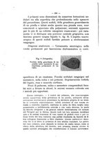 giornale/MIL0124118/1916/unico/00000248