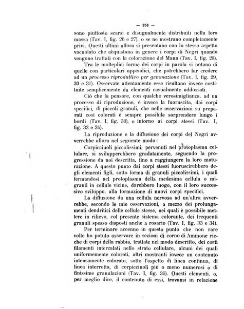 La clinica veterinaria rivista di medicina e chirurgia pratica degli animali domestici