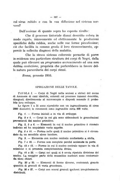 La clinica veterinaria rivista di medicina e chirurgia pratica degli animali domestici