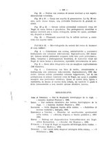 giornale/MIL0124118/1916/unico/00000432